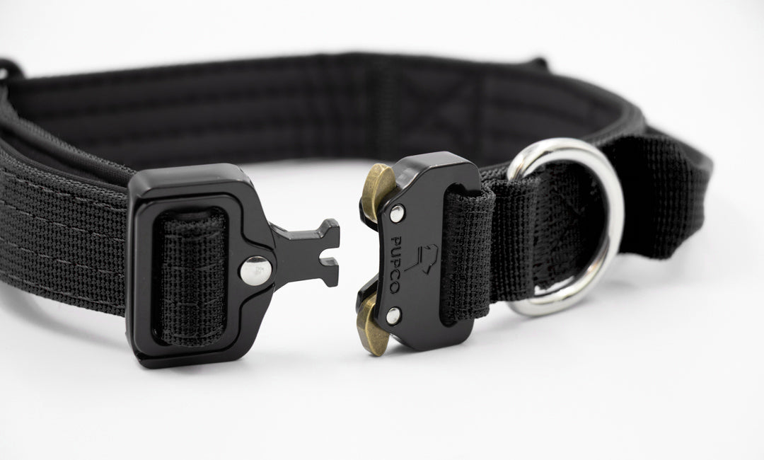 Performance collar - 2.5cm (Smaller breed/Puppy) - Black