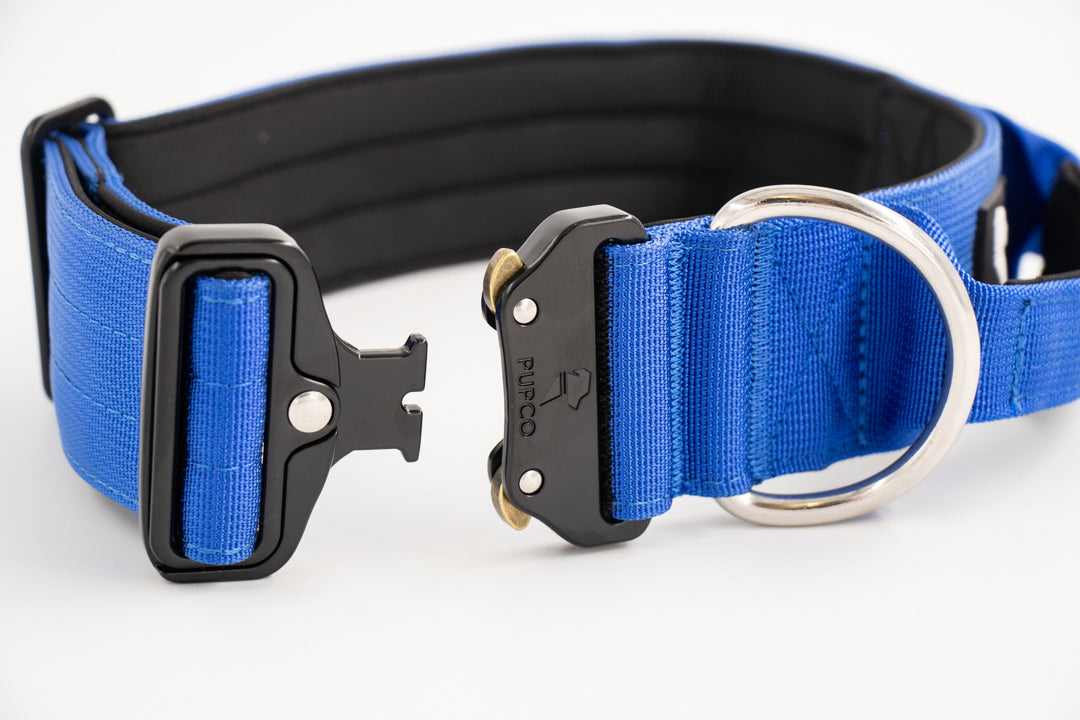 Performance collar with handle 5CM - Blue