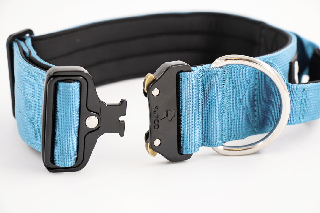 Performance collar with handle 5CM - Sky blue