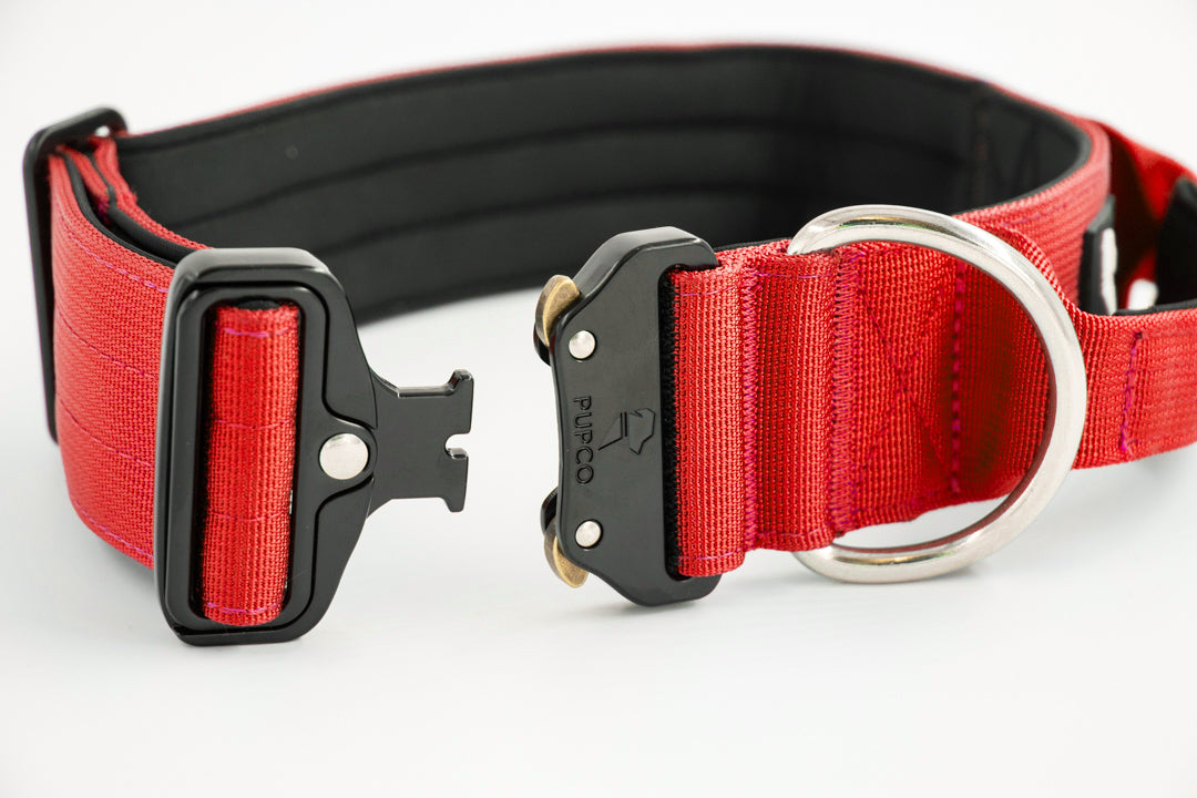 Performance collar with handle 5CM - Red