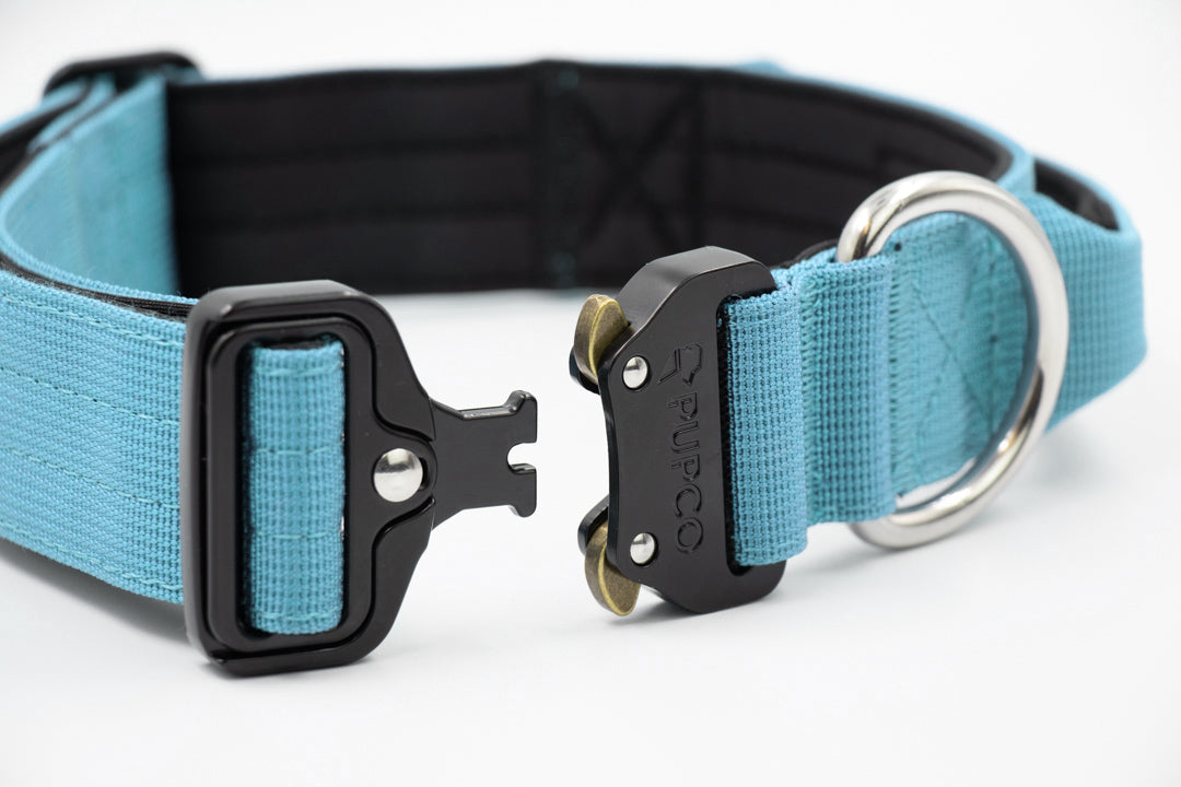 Performance collar with handle 4CM - Sky blue