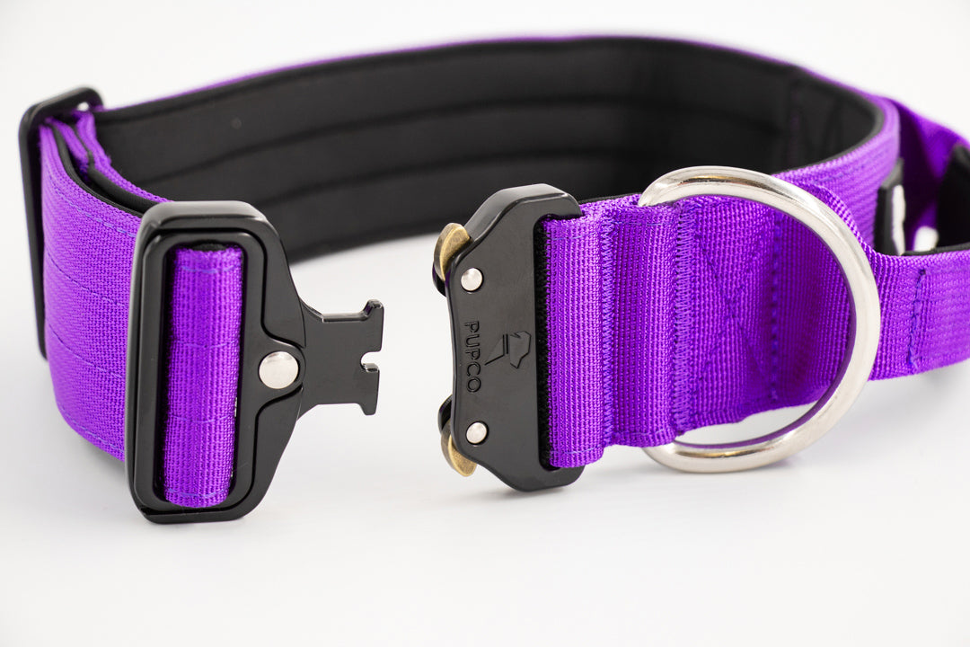 Performance collar with handle 5CM - Purple