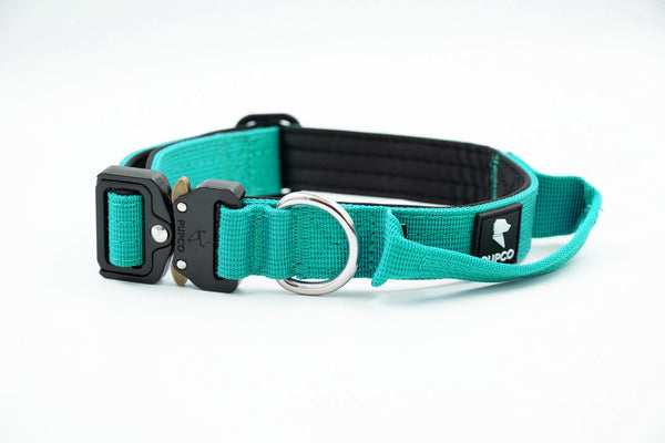Performance collar - 2.5cm (Smaller breed/Puppy) - Turqouise