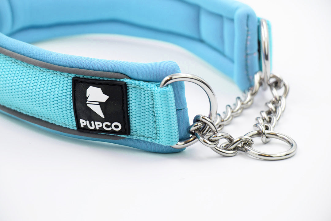 Martingale collar - Sky blue