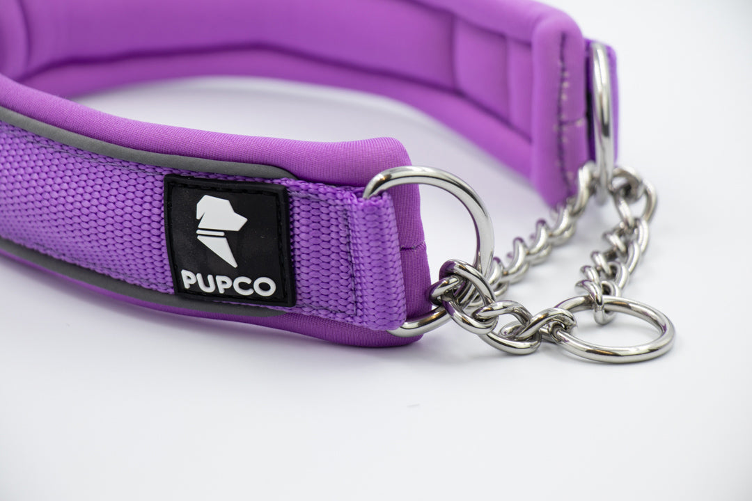 Martingale collar - Purple