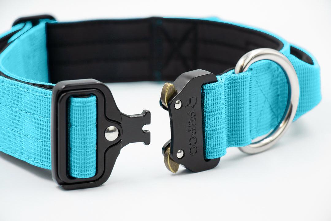 Performance collar with handle 5CM - Aqua