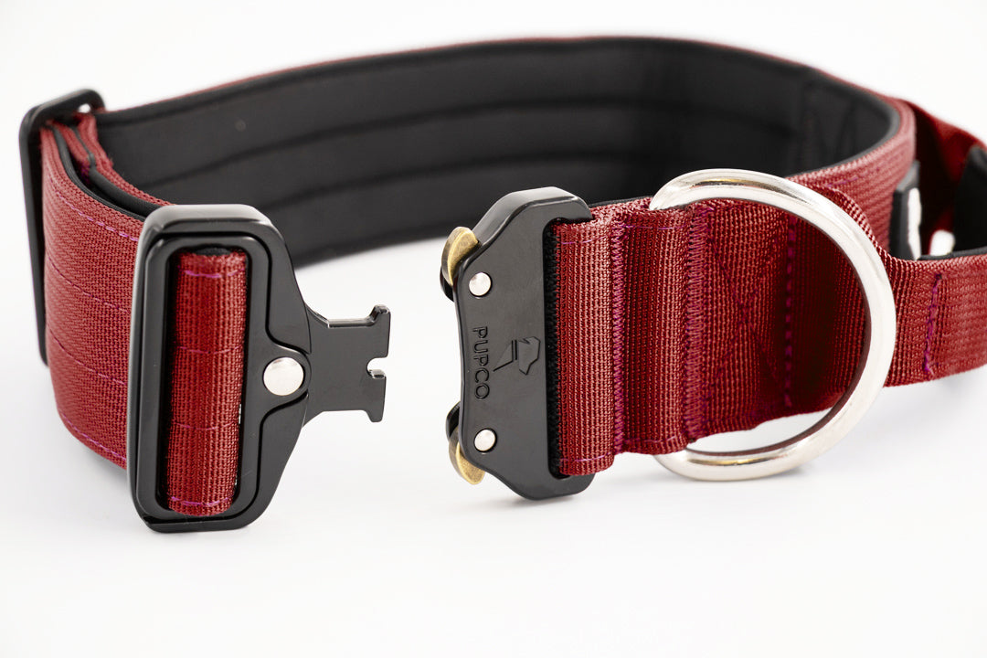 Performance collar with handle 5CM - Burgundy