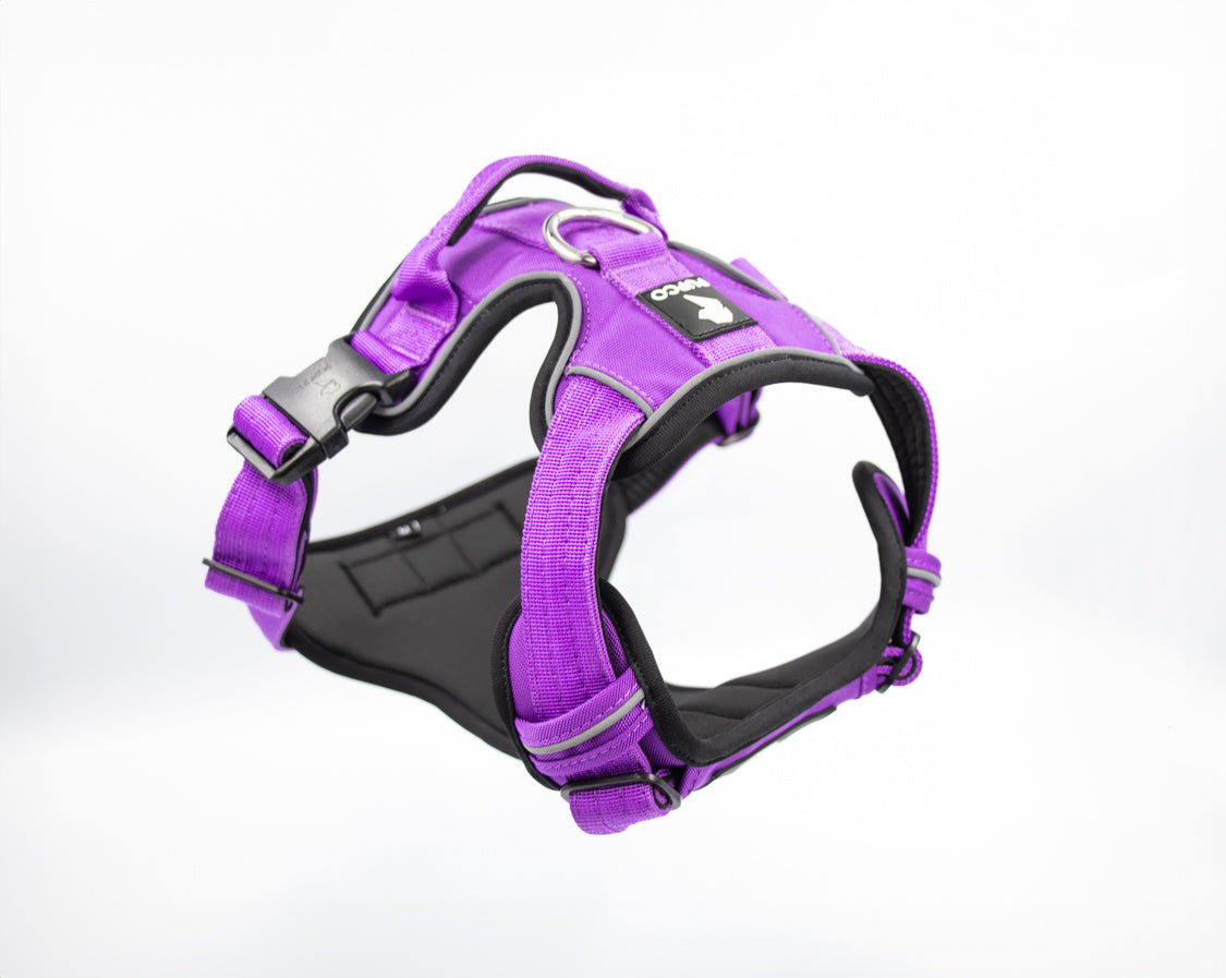 Prime harness bundle - Purple