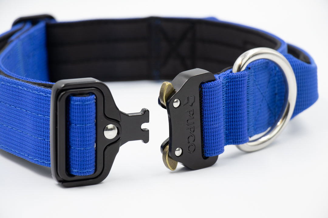 Performance collar with handle 4CM - Royal blue