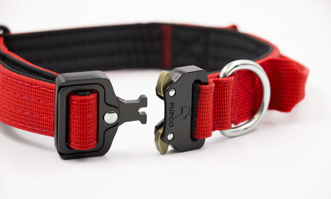 Performance collar - 2.5cm (Smaller breed/Puppy) - Red