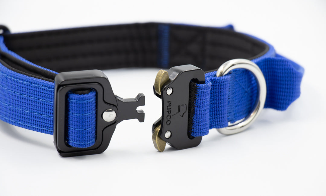 Performance collar - 2.5cm (Smaller breed/Puppy) - Blue