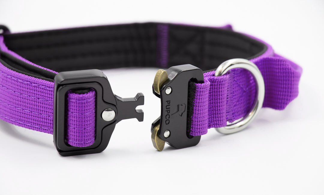 Performance collar - 2.5cm (Smaller breed/Puppy) - Purple