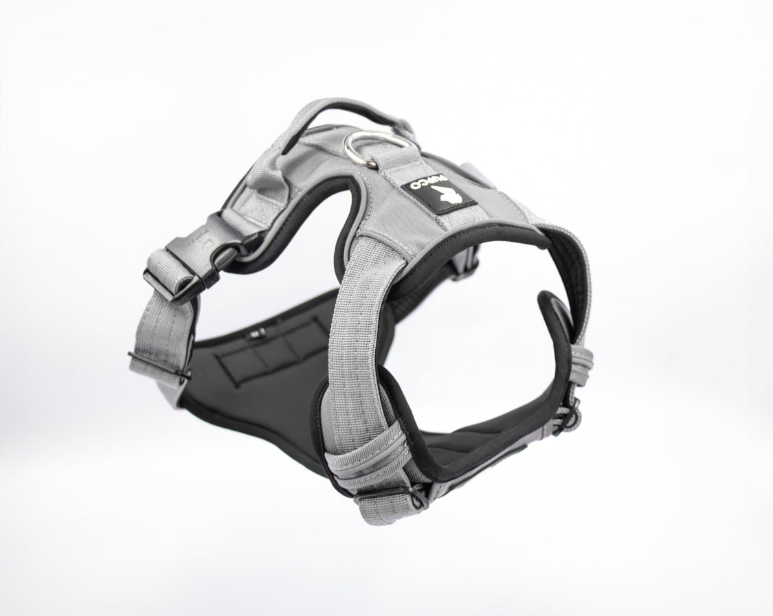 Prime harness - Grey