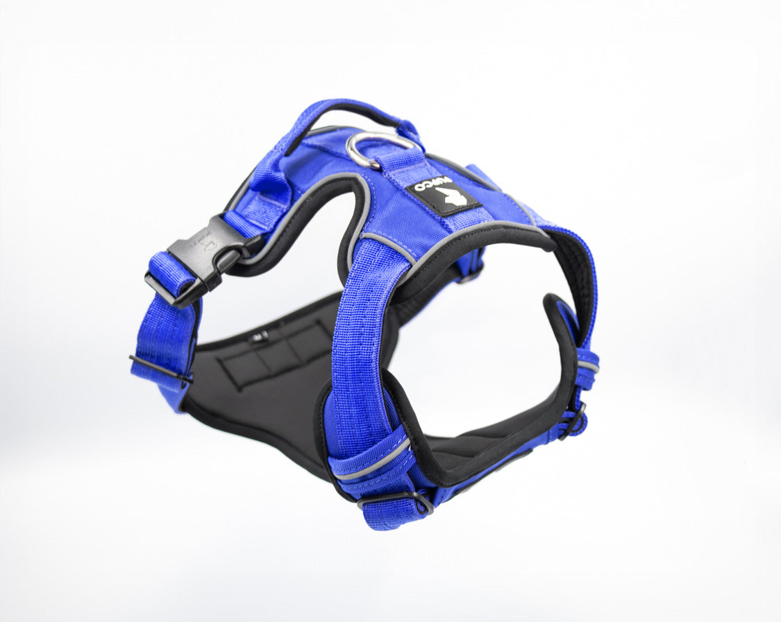 Prime harness bundle - Blue