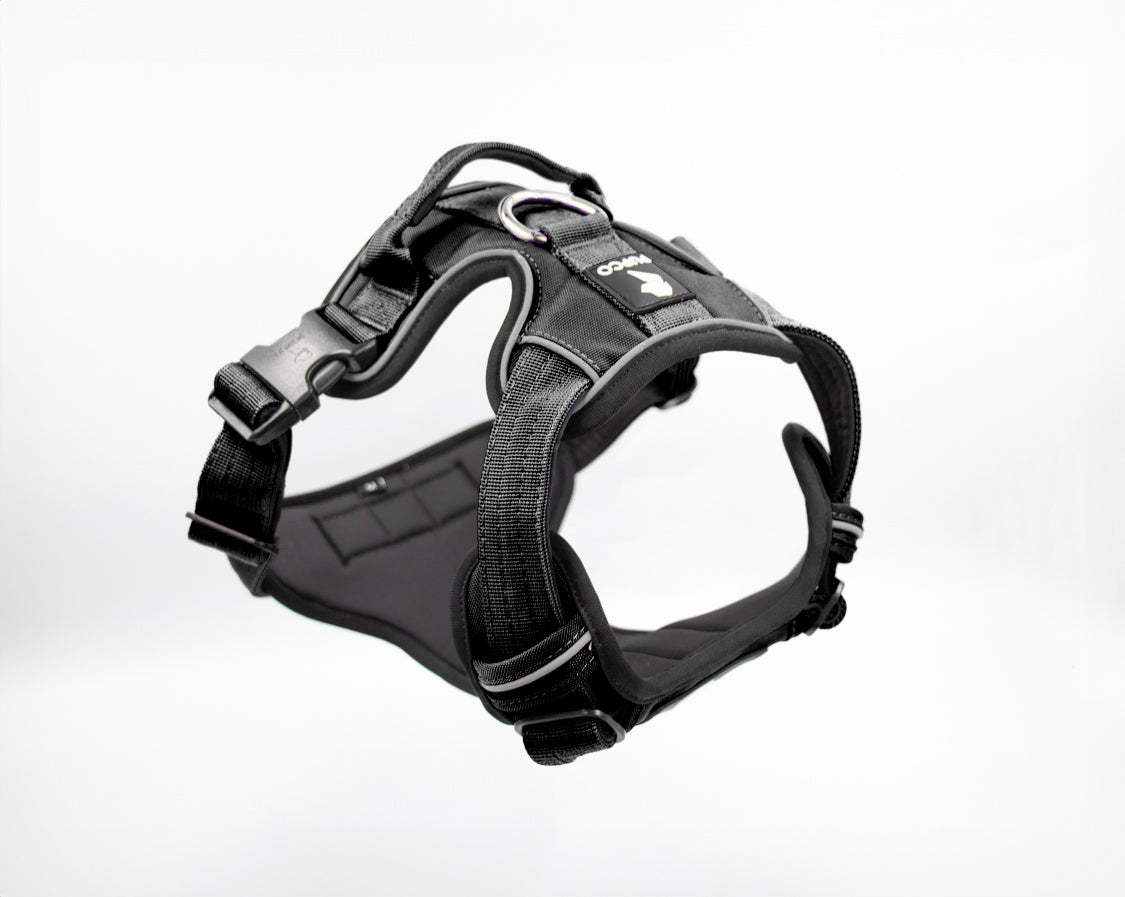 Prime harness - Black