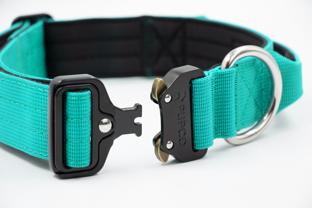 Performance collar with handle 4CM - Turquoise