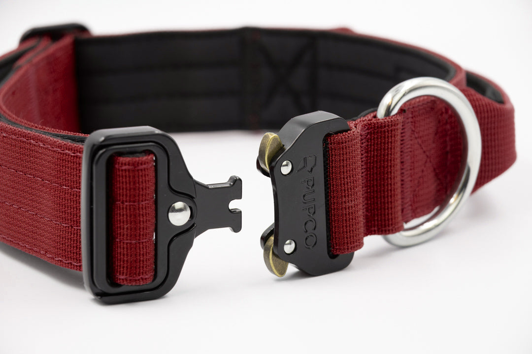 Performance collar with handle 4cm - Burgundy