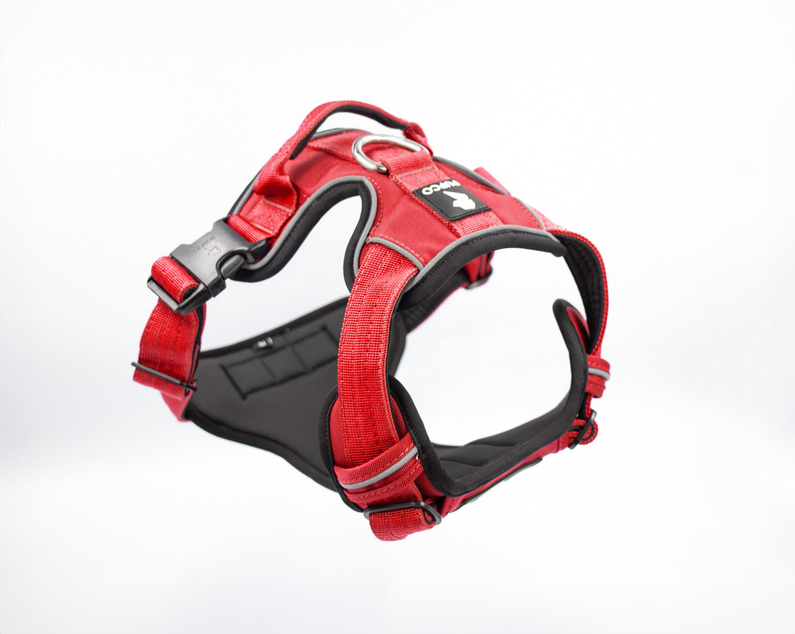 Prime harness - Red