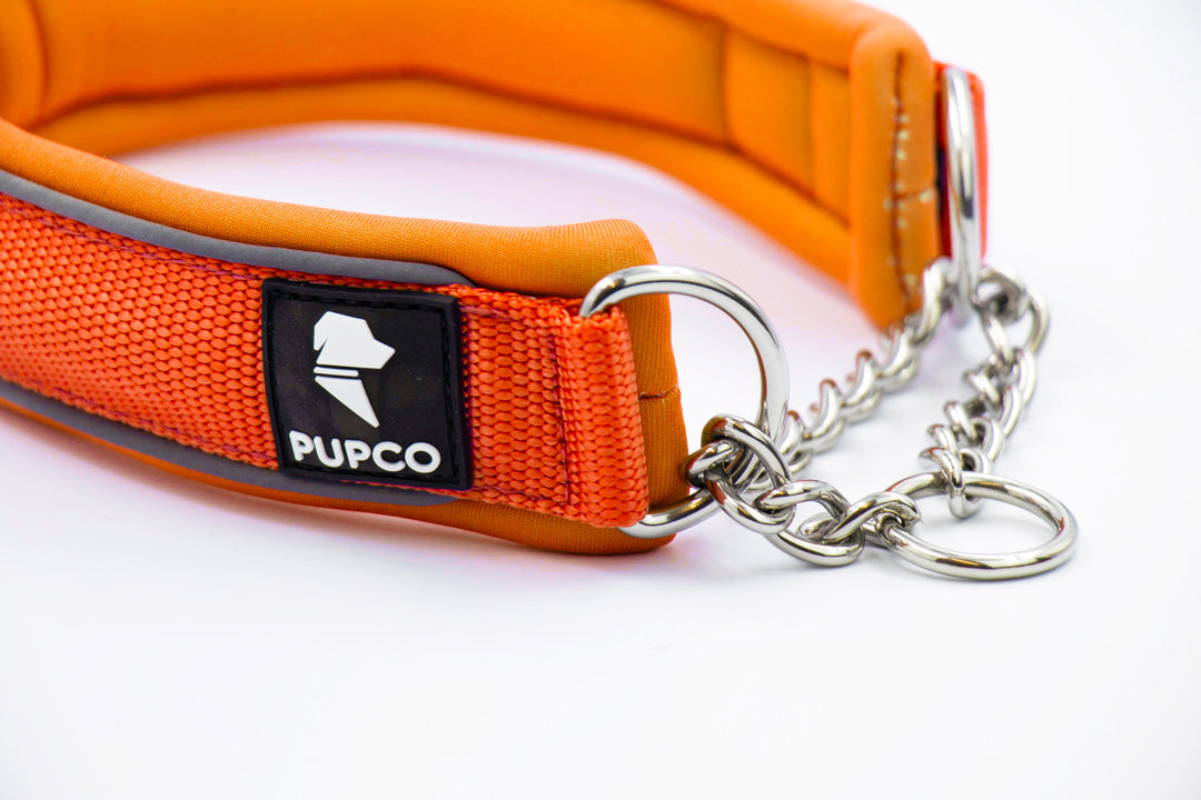 Martingale collar - Orange