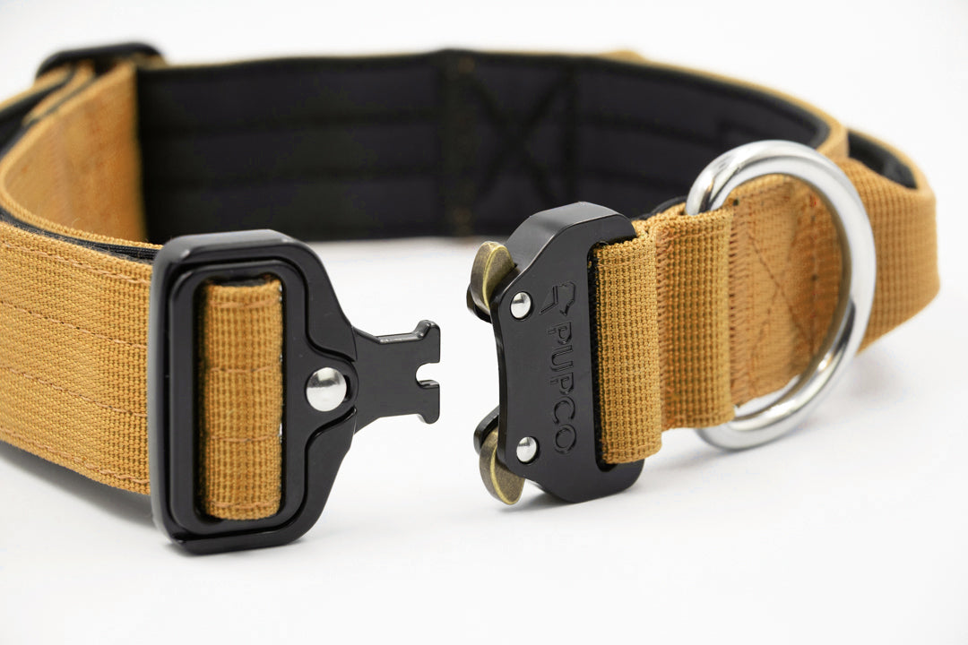 Performance collar with handle 4CM - Tan