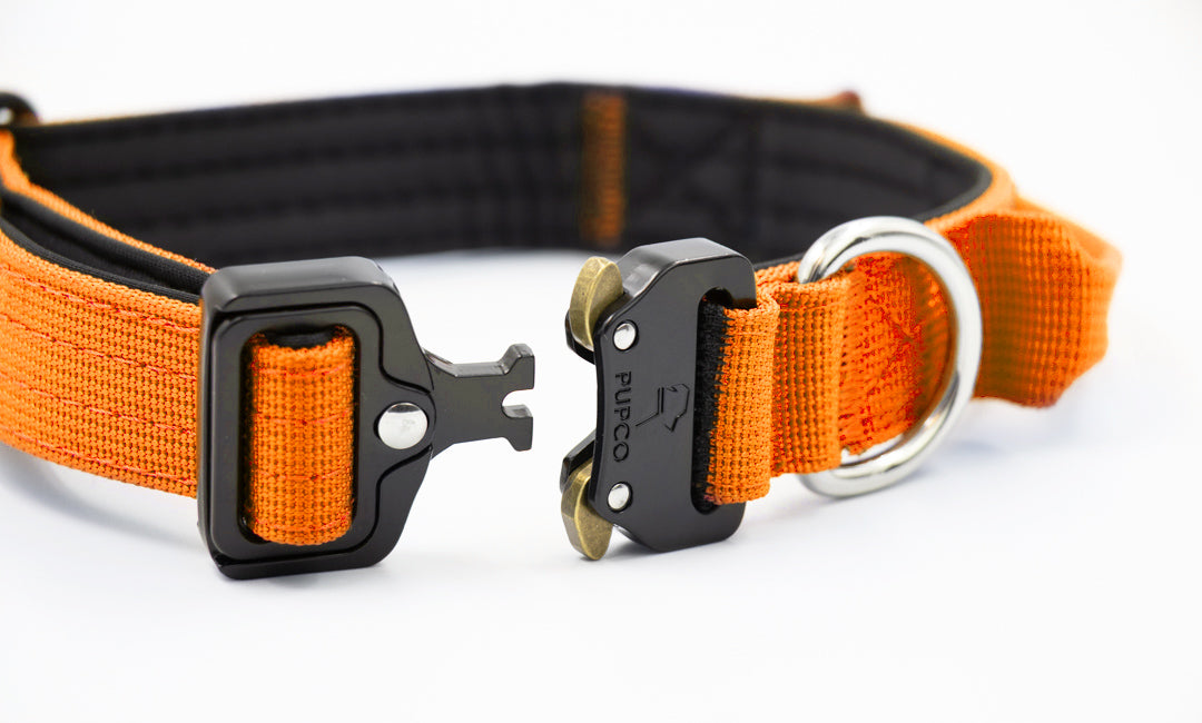 Performance collar - 2.5cm (Smaller breed/Puppy) - Orange