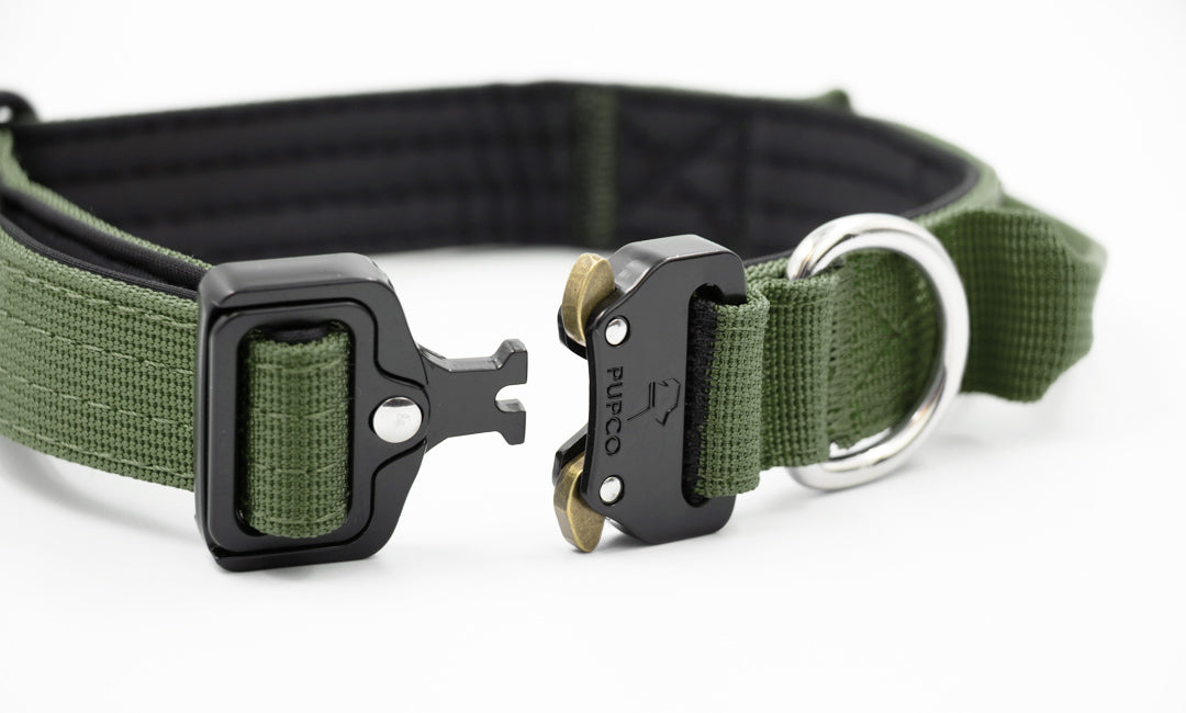 Performance collar - 2.5cm (Smaller breed/Puppy) - Khaki