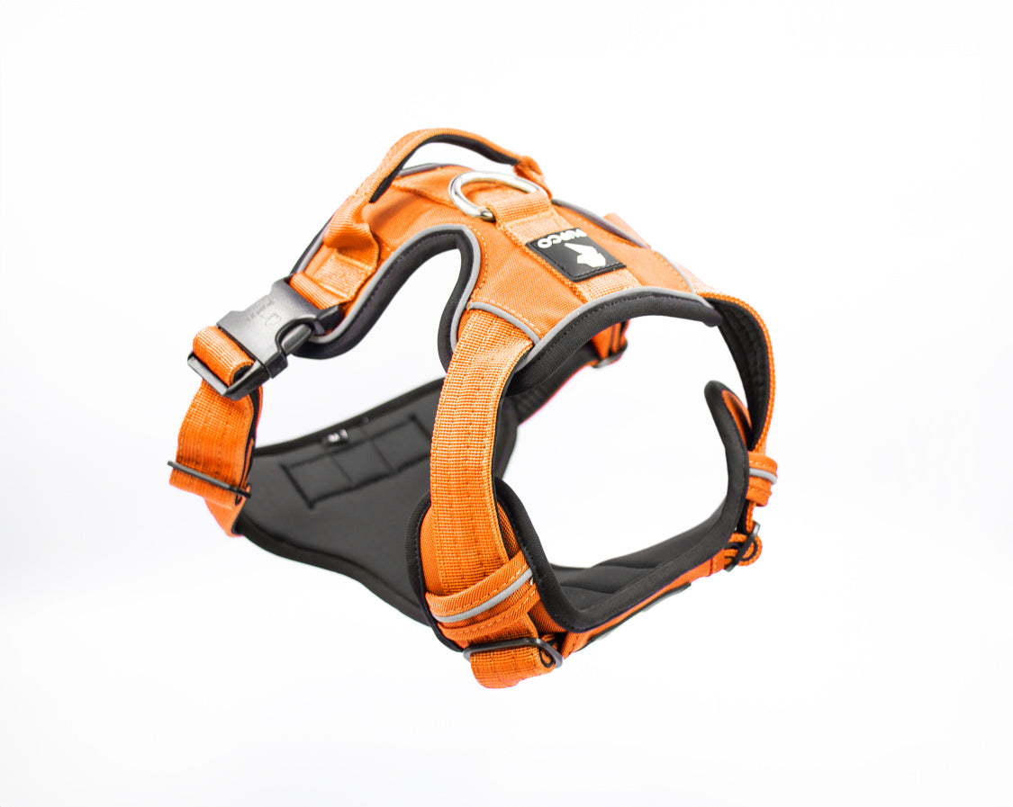 Prime harness - Orange