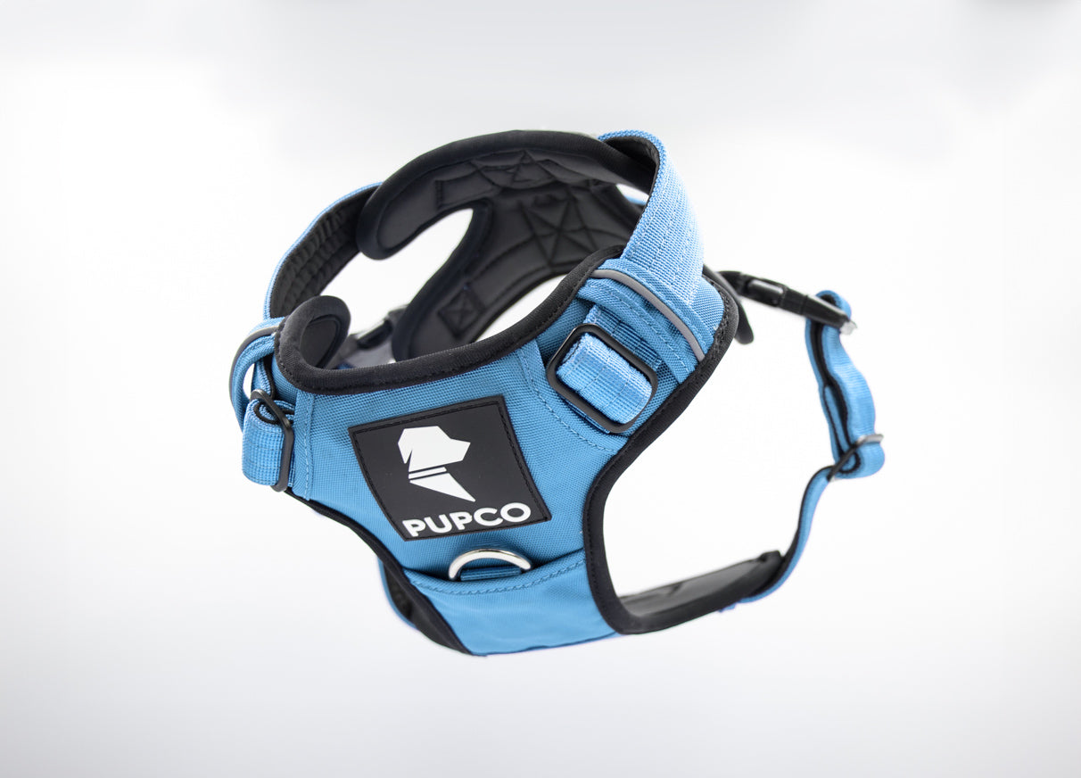 Prime harness bundle - Sky blue