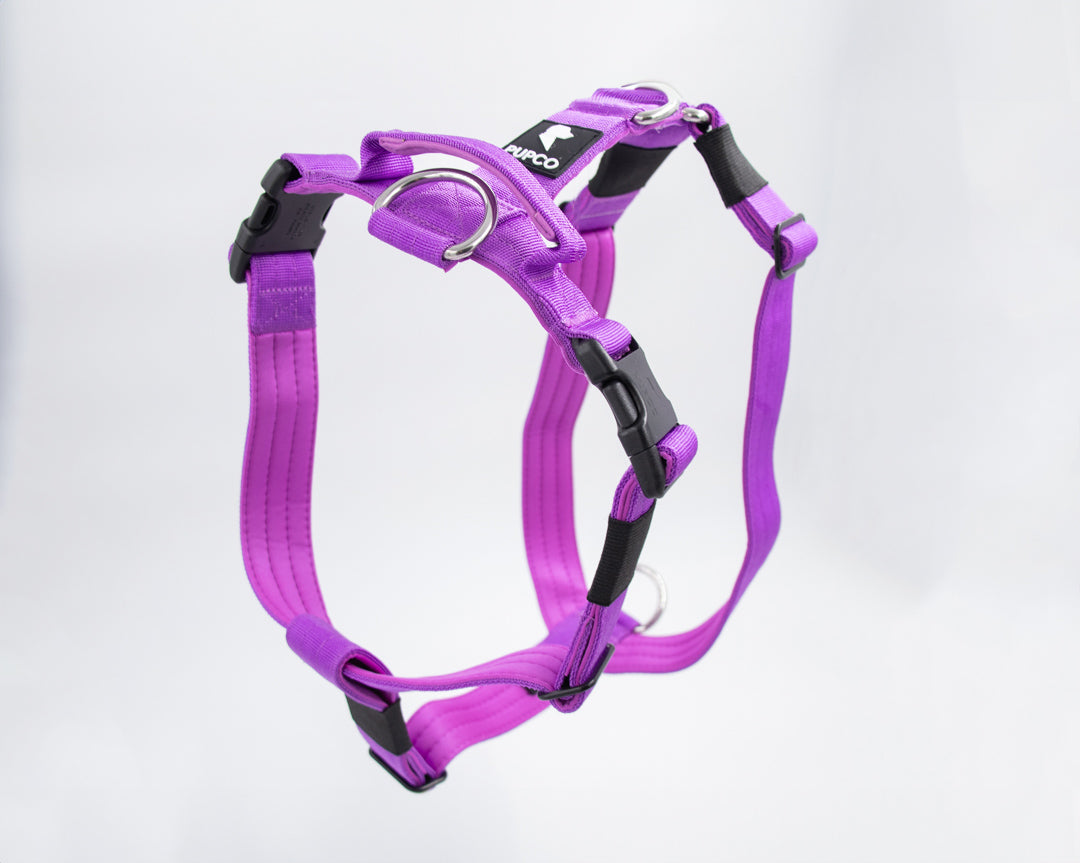 Ultra Harness - Anti pull - Purple