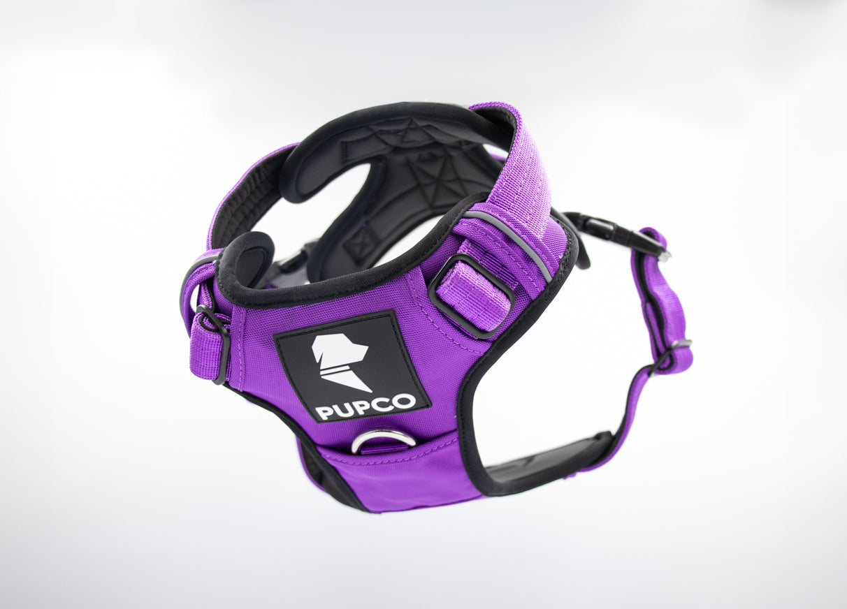 Prime harness bundle - Purple