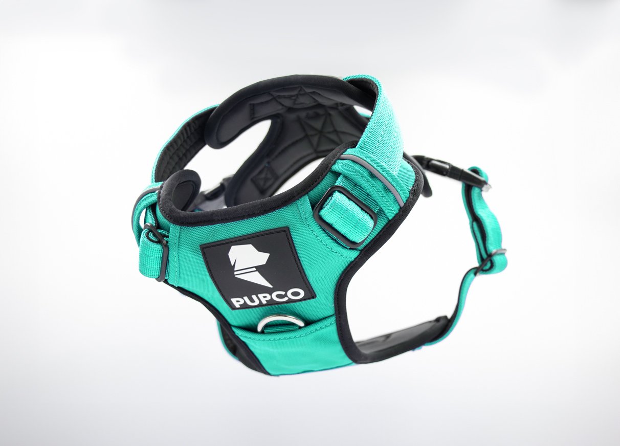 Prime harness - Turquoise