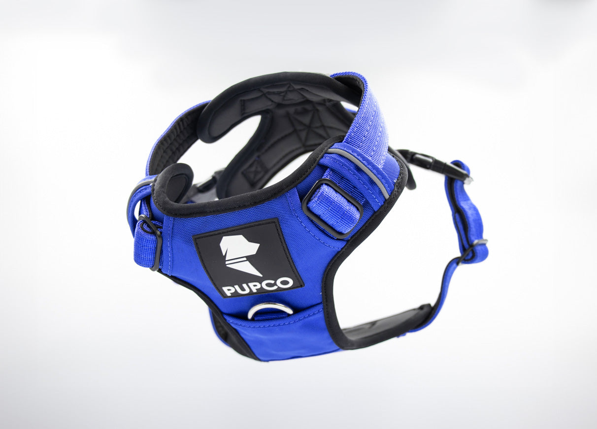 Prime harness - Blue