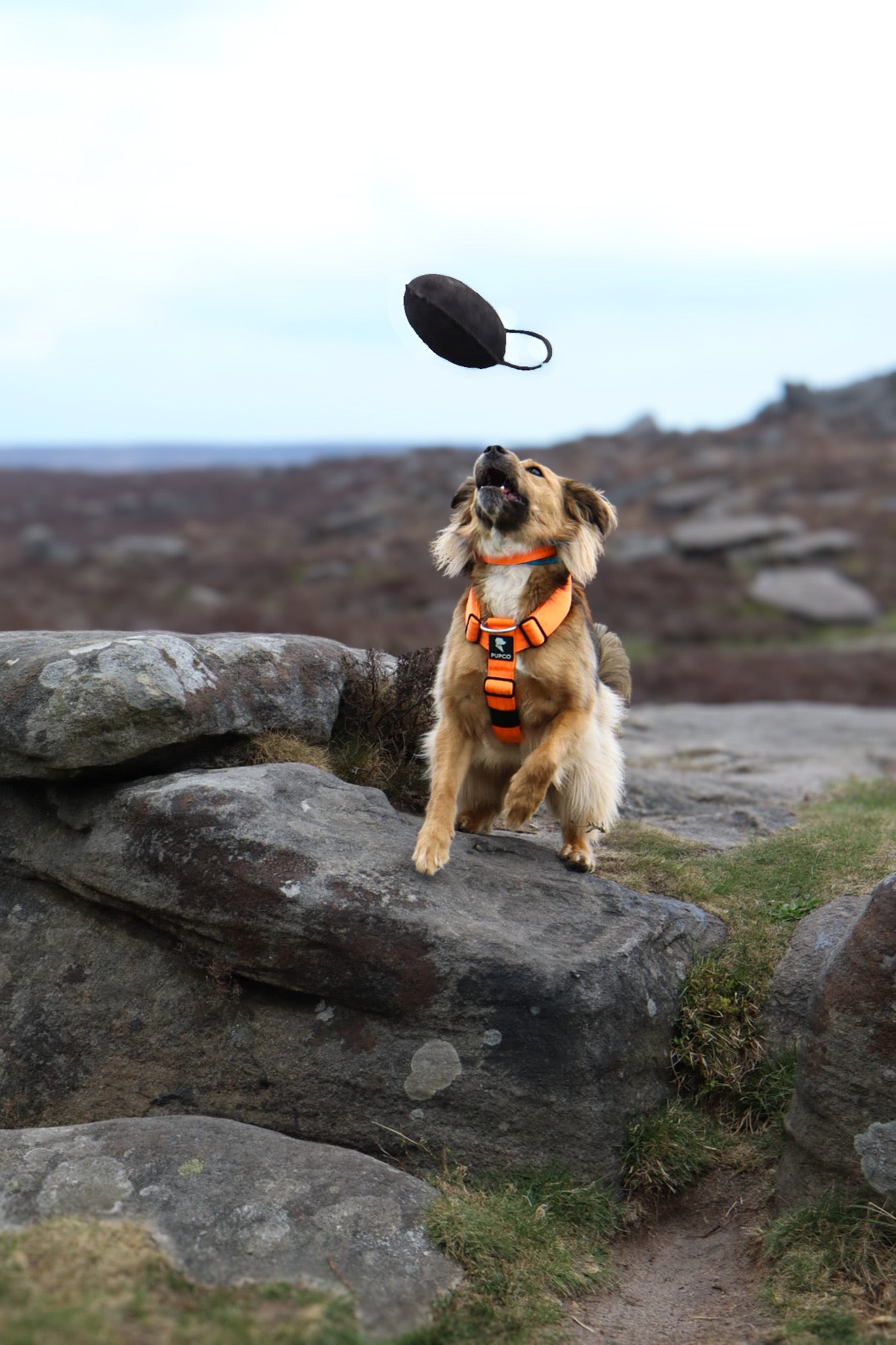 Pupco - Bite bag