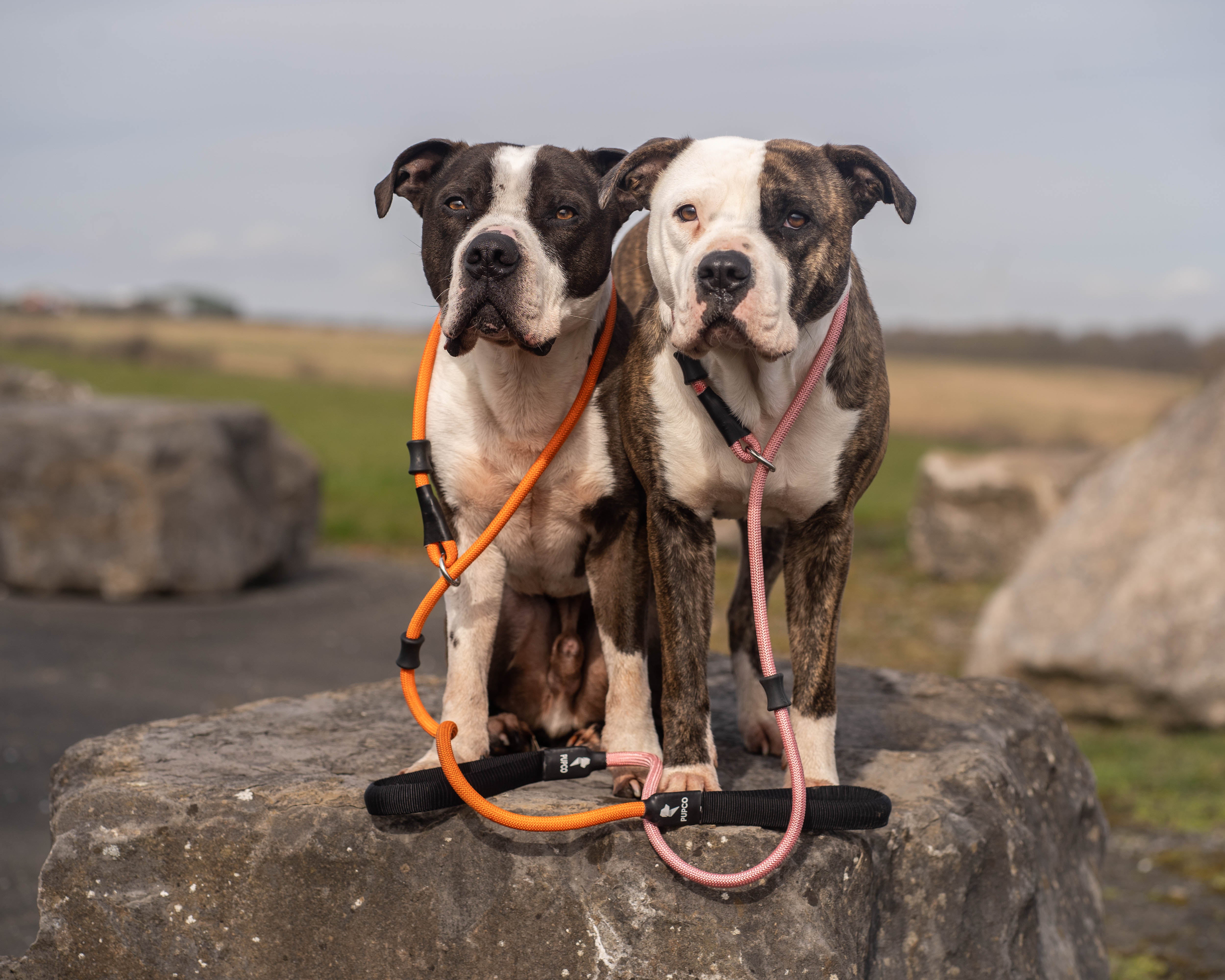 Slip Rope lead - Blue