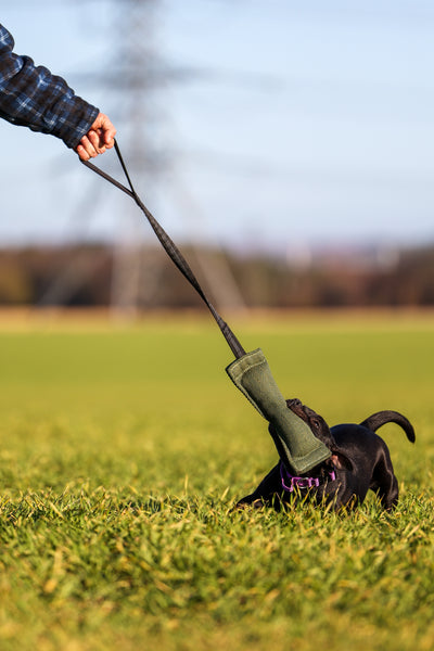 Training aids