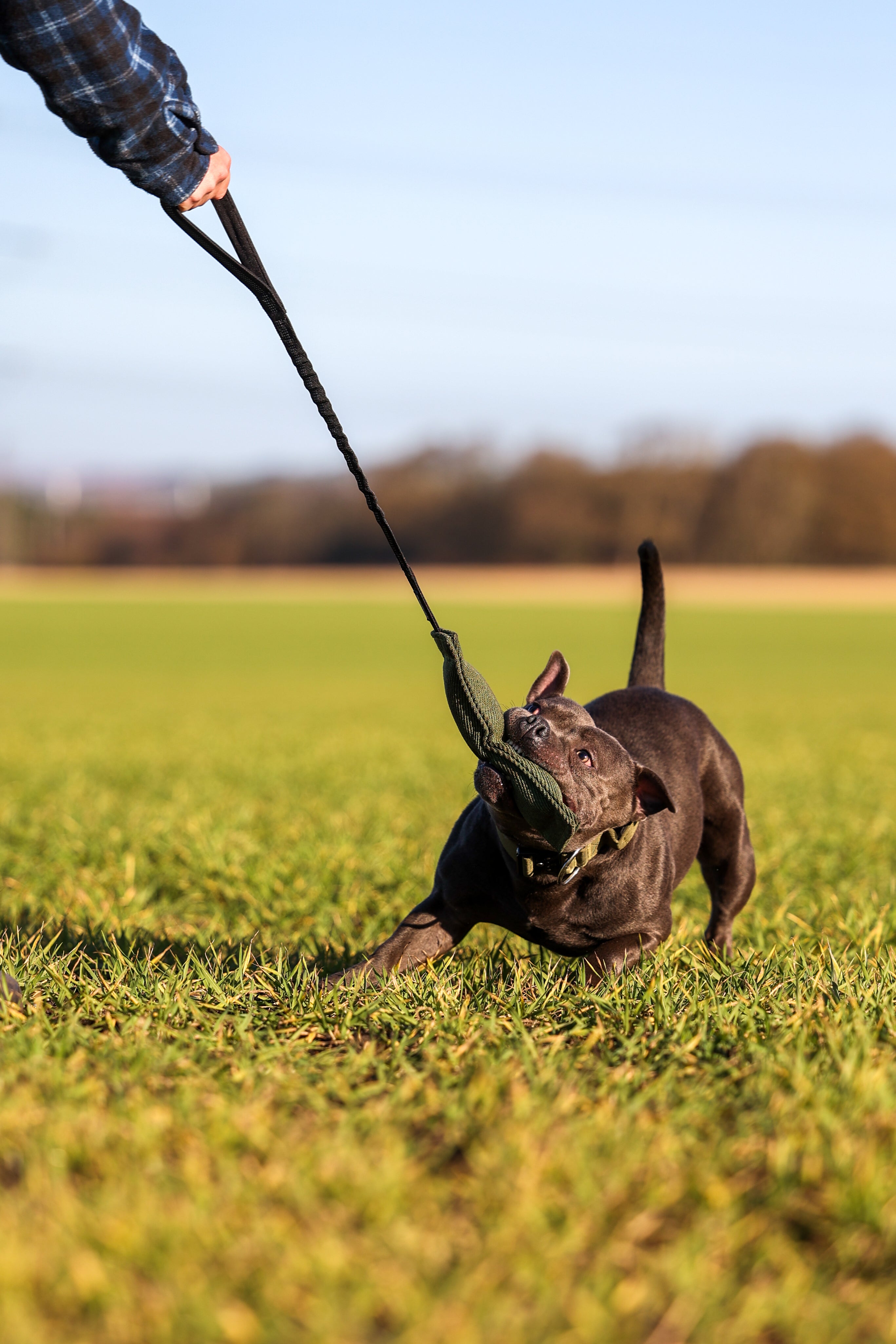 Bungee Tugger - Black