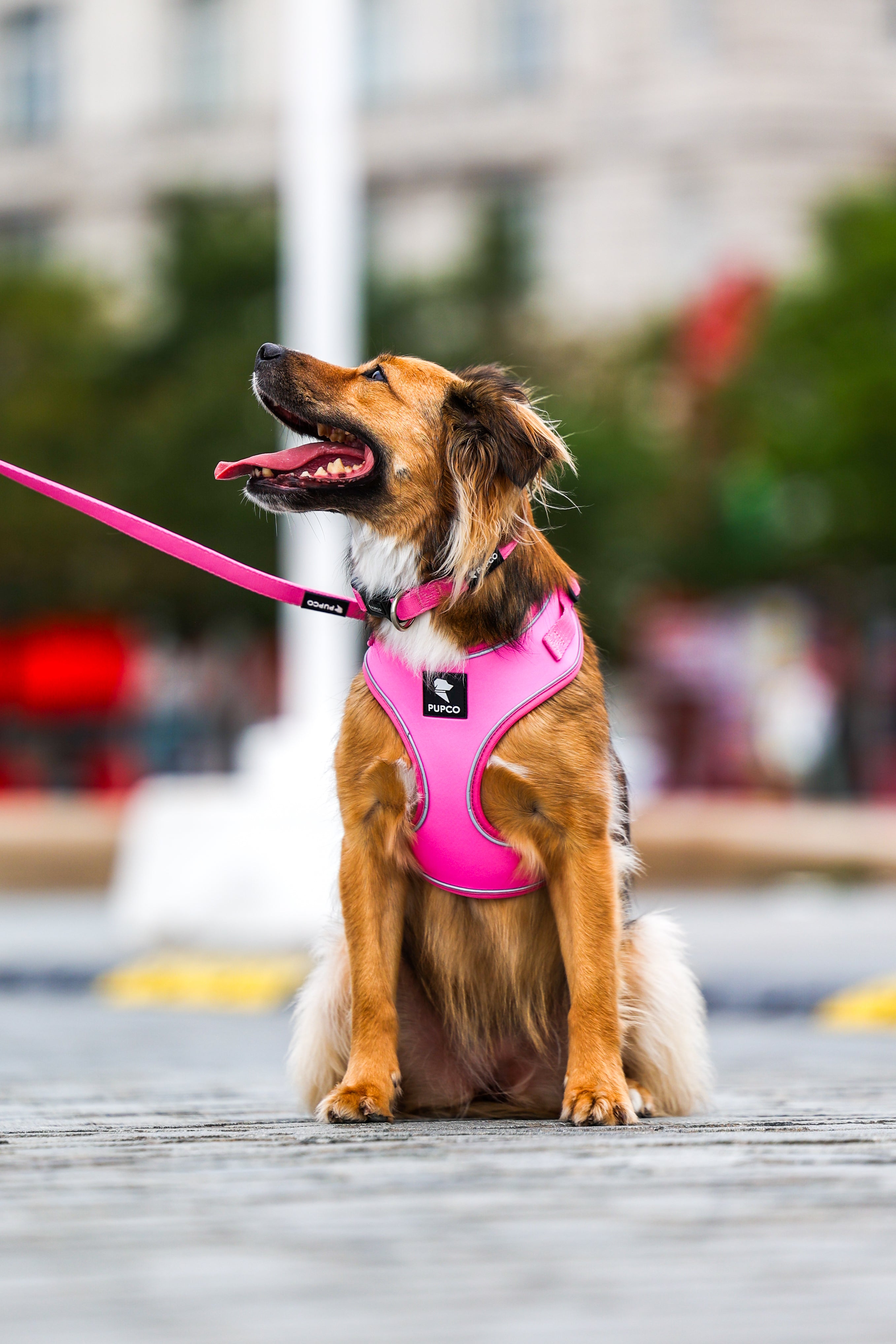 Air-Lite Harness - Pink