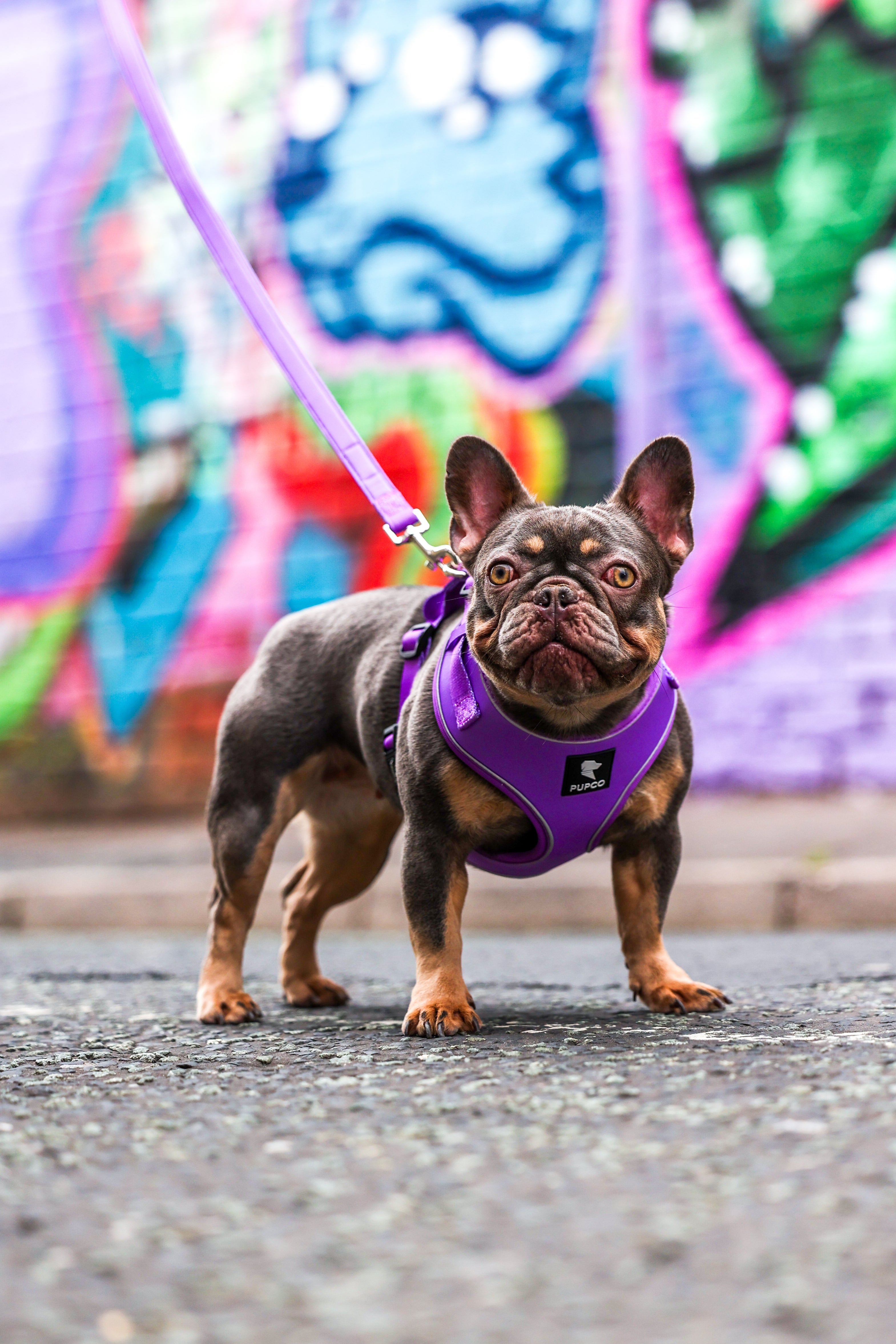 Air-Lite Harness - Purple