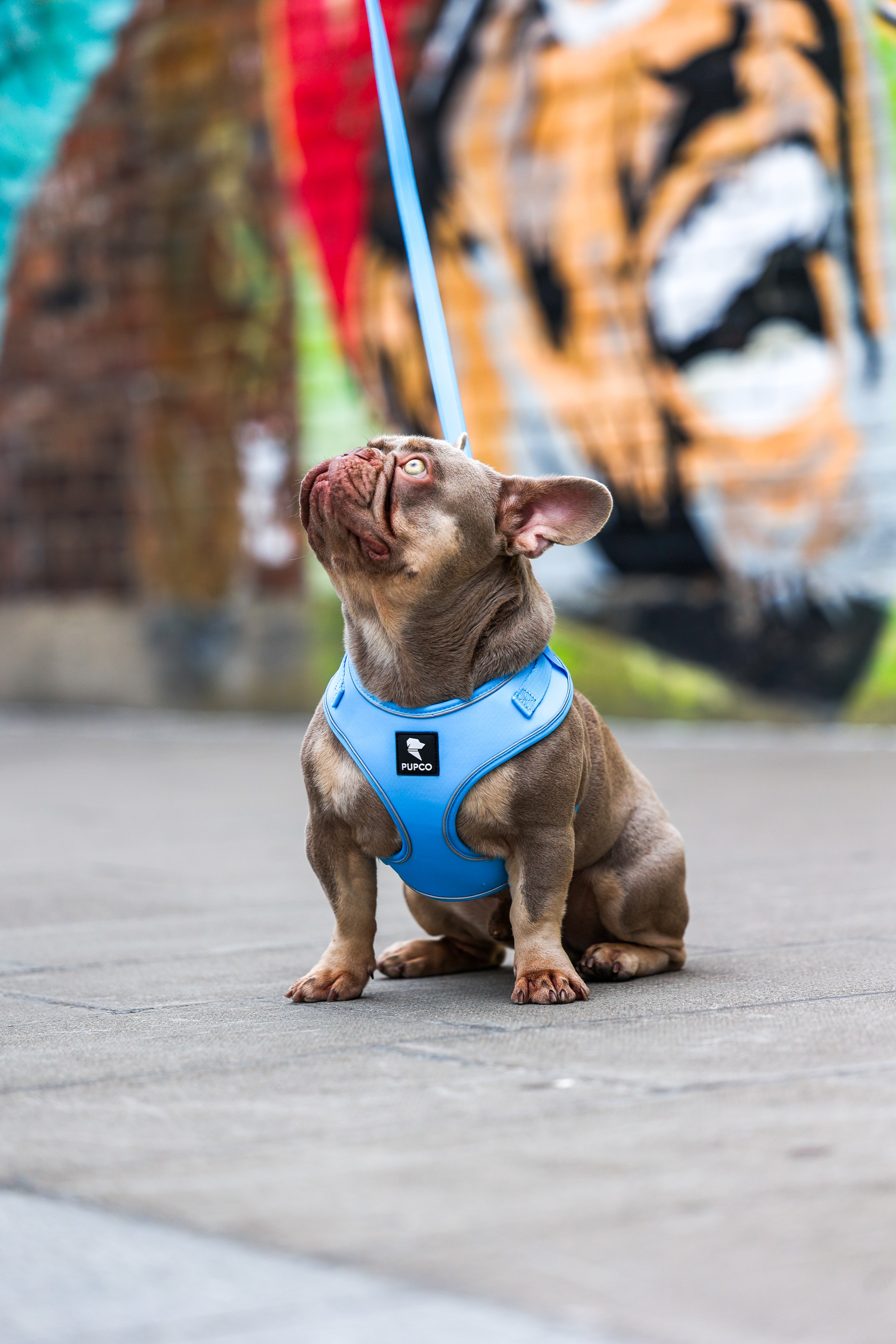 Air-Lite Harness - Sky blue
