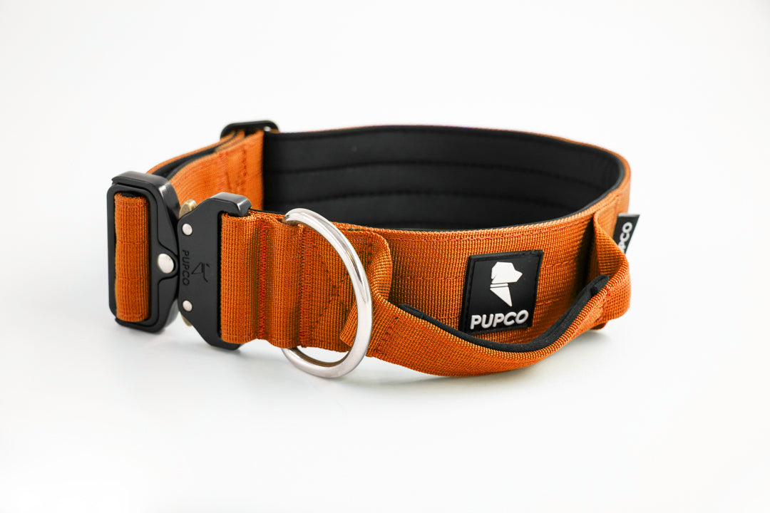 Performance collar with handle 5CM - Orange