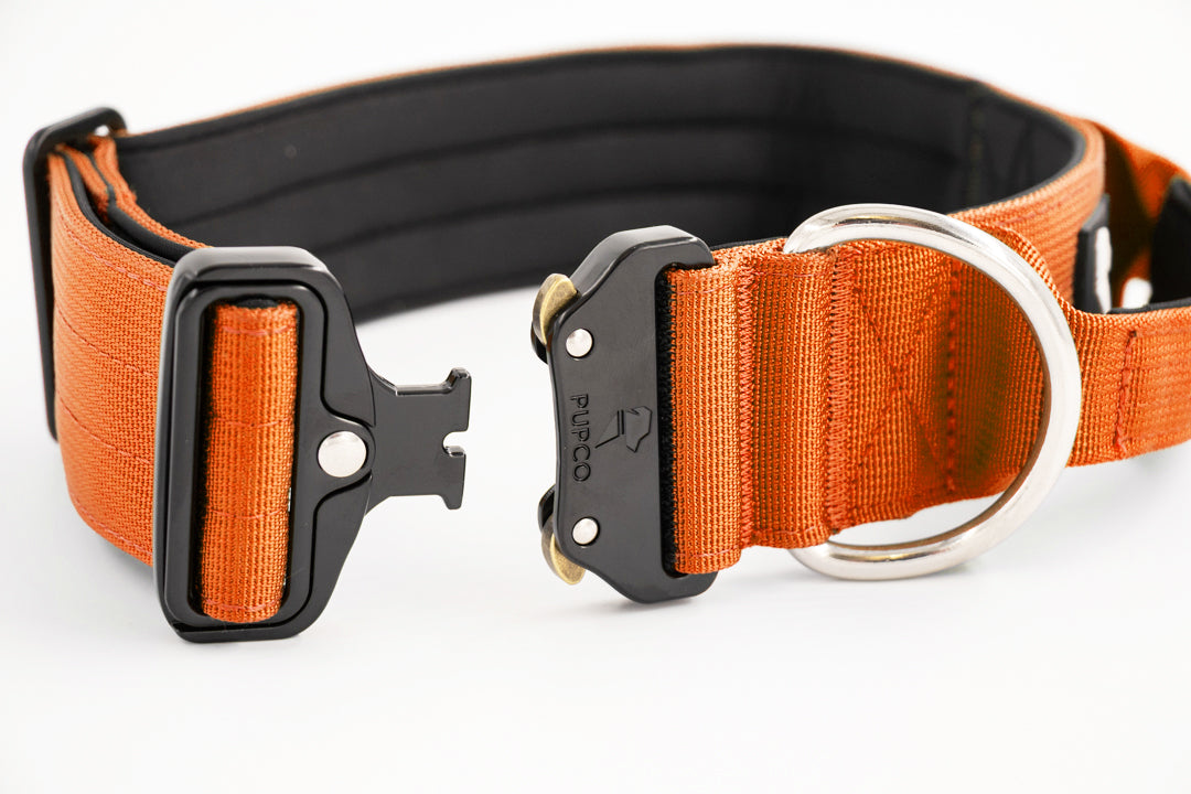 Performance collar with handle 5CM - Orange