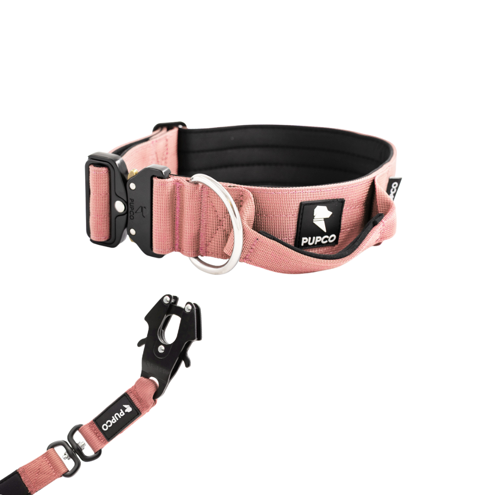 Performance collar and lead set 5CM