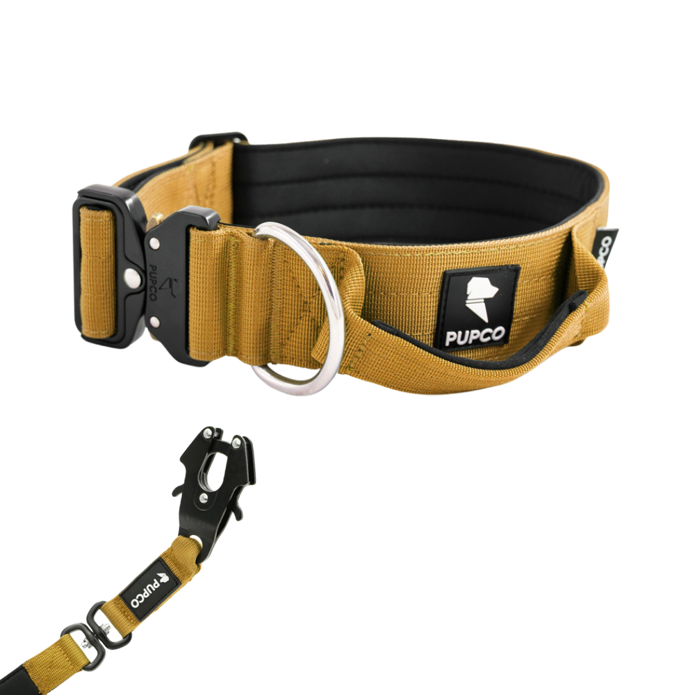 Performance collar and lead set 5CM