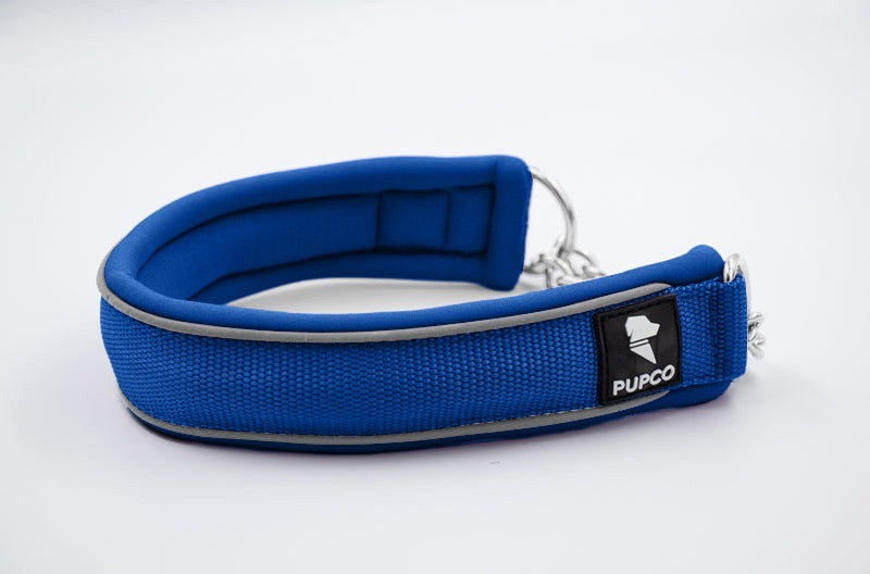 Martingale collar - Blue