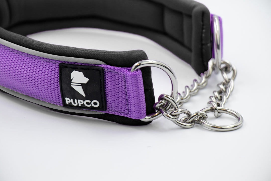 Martingale collar - Purple/ Black