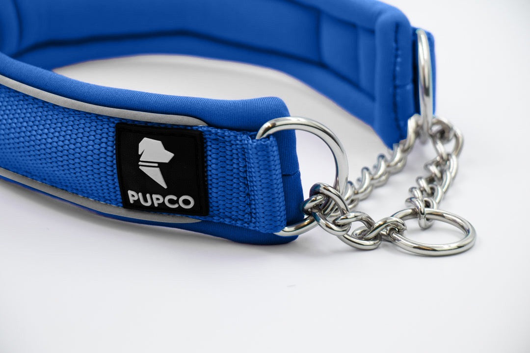 Martingale collar - Blue