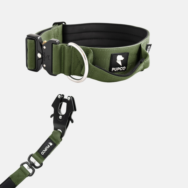 Performance collar and lead set 5CM