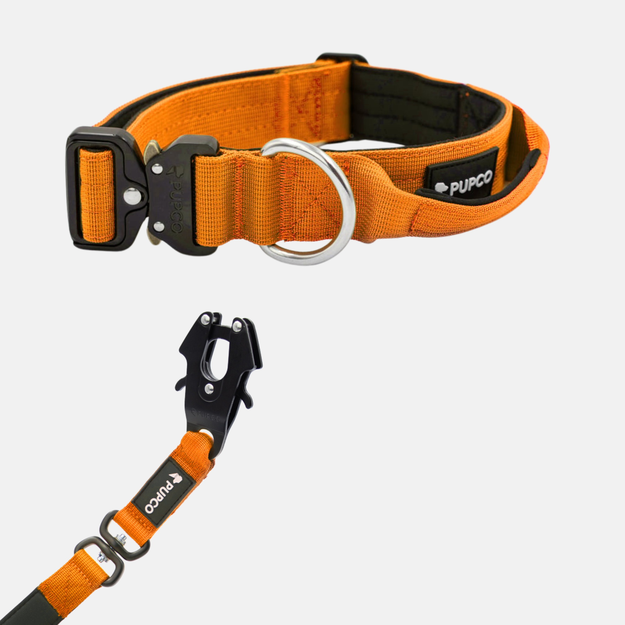 Performance collar and lead set 4CM