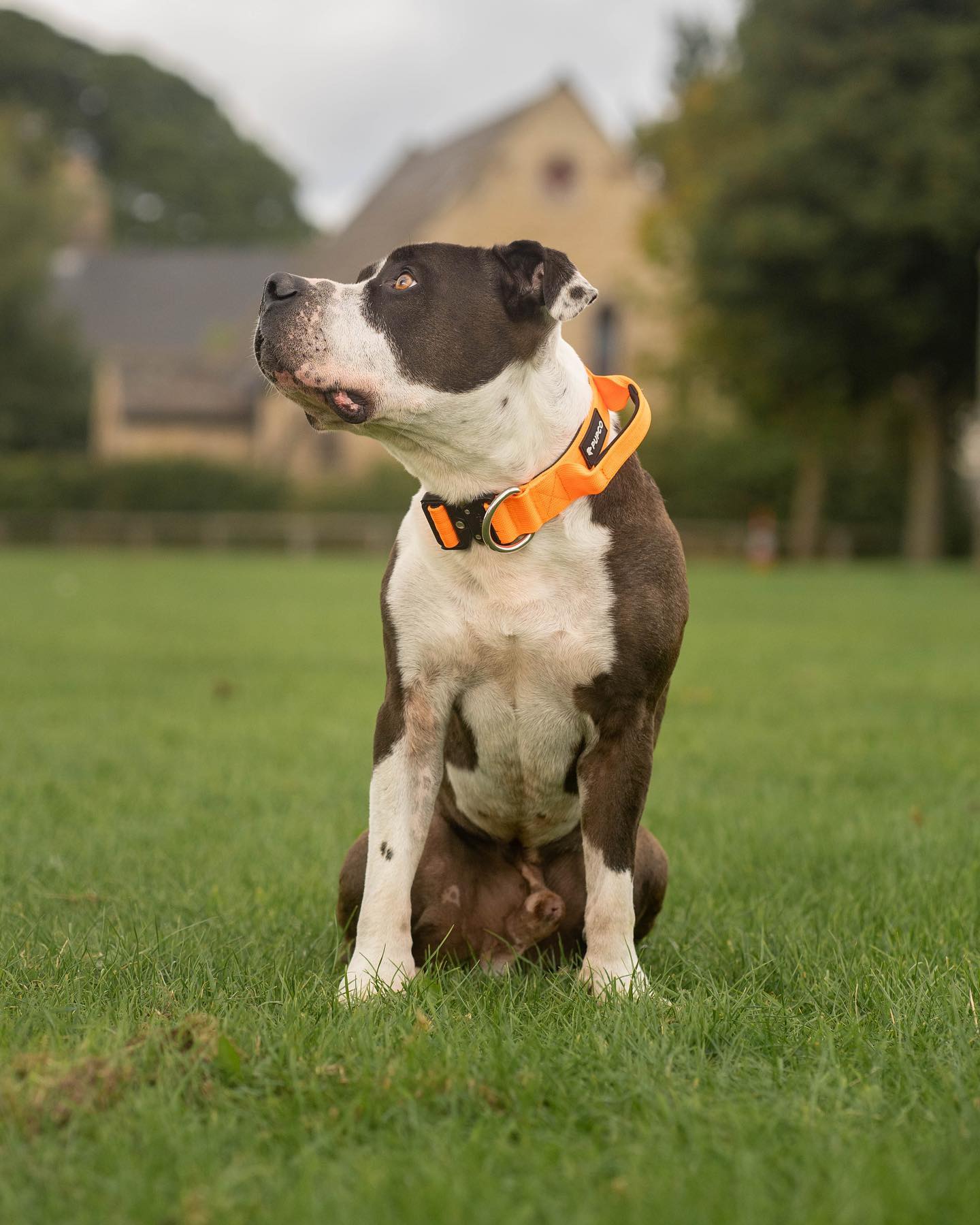 4cm performance bundle - Orange