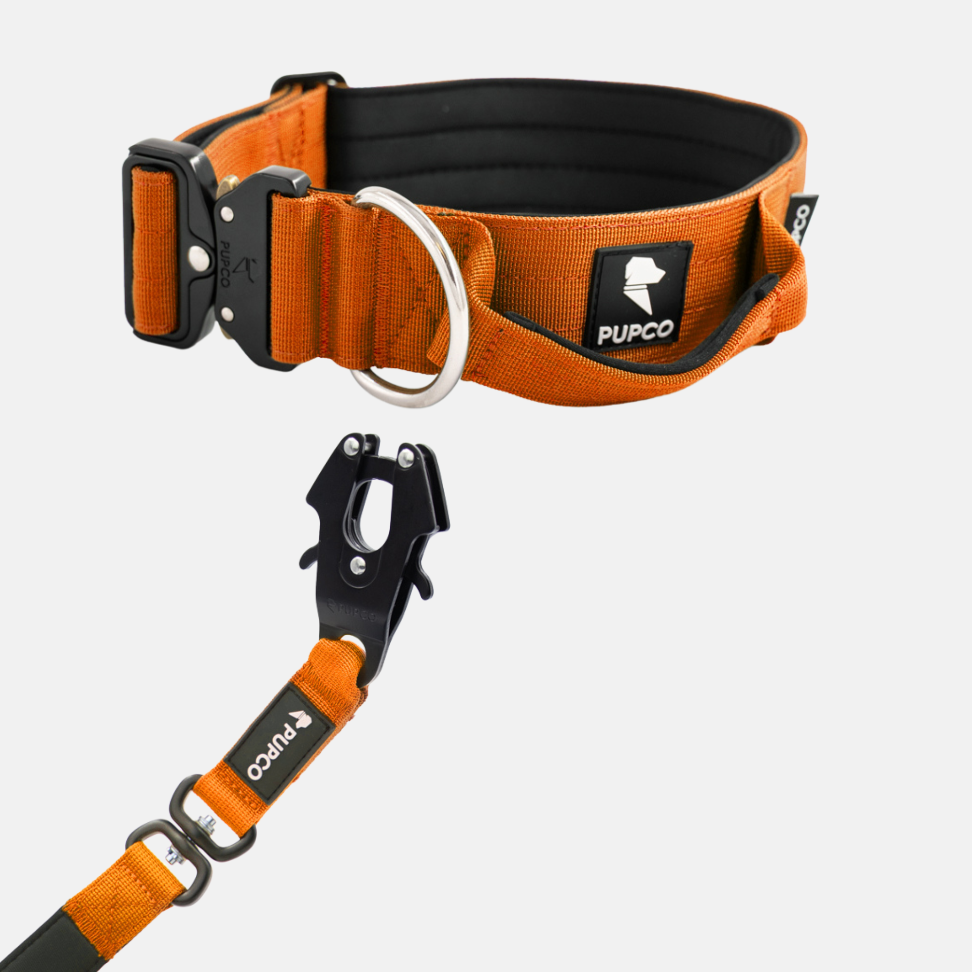 Performance collar and lead set 5CM